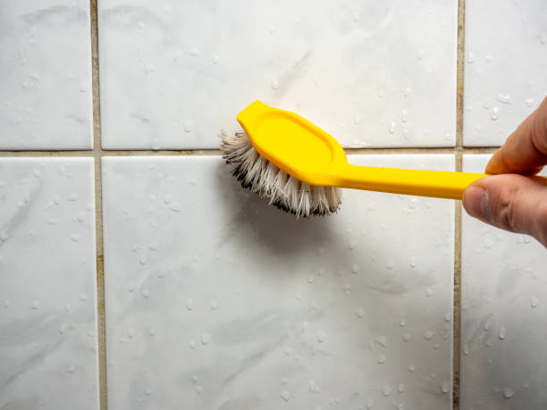Mold Removal Process in Calimesa, CA