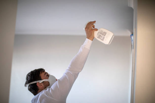 Office Mold Removal Services in Calimesa, CA