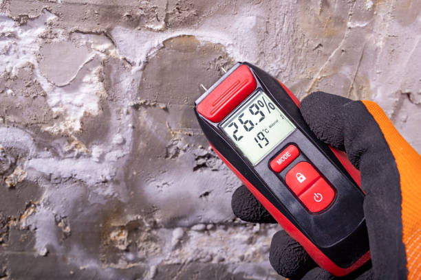 Mold Removal and Inspection in Calimesa, CA
