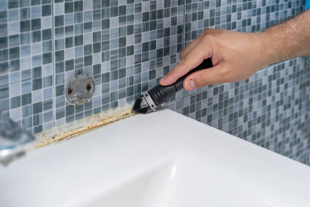 Best Commercial Mold Removal  in Limesa, CA