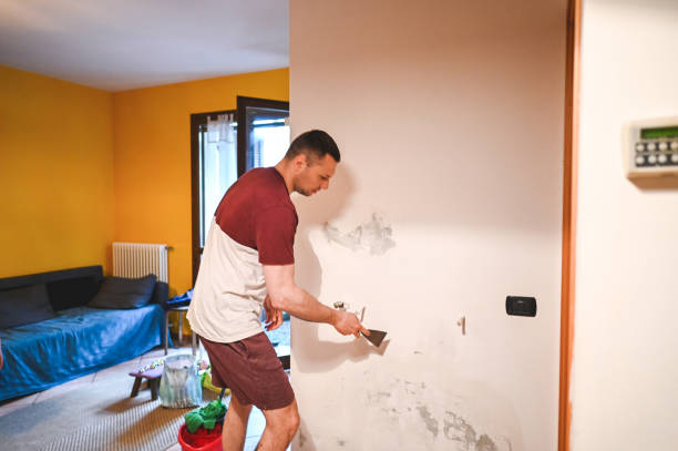 Best Mold Remediation  in Limesa, CA