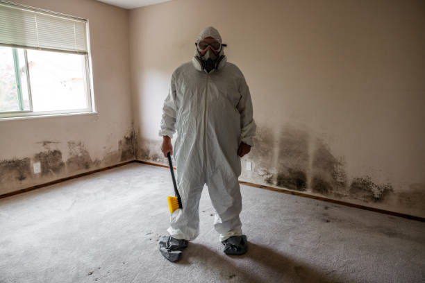 Best Crawl Space Mold Removal  in Limesa, CA